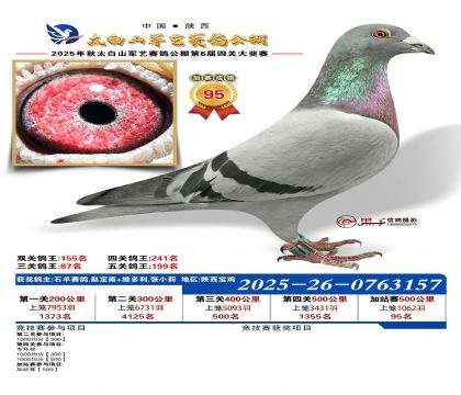 �������ռ�վ��95��