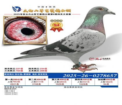 �������ռ�վ��94��