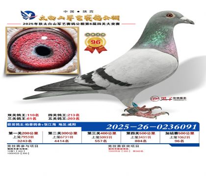 �������ռ�վ��96��