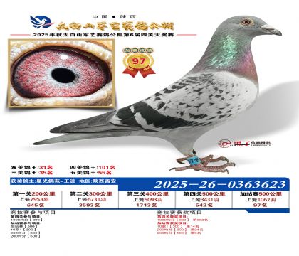 �������ռ�վ��97��