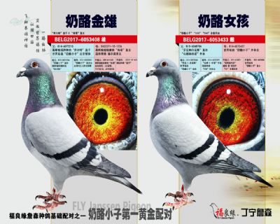 ��ĸ����