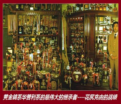 ����������ϵ��������