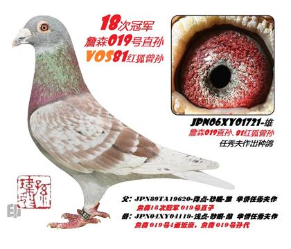 �����游��ղɭ���01721��