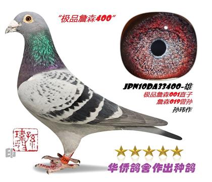 �游��ղɭ33400