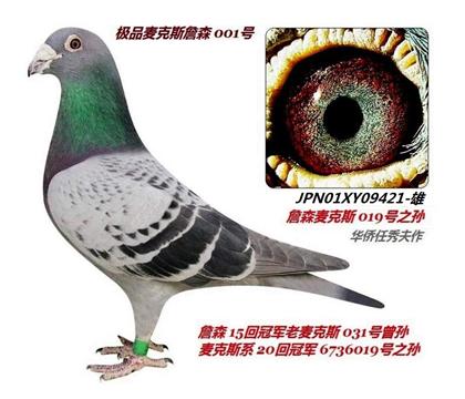 �����游��019֮�ＫƷղɭ001