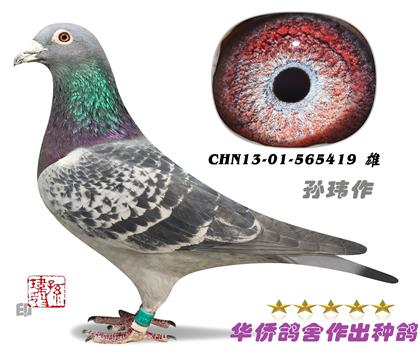 ����019����565419