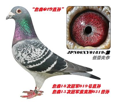 �游��019֮��01819