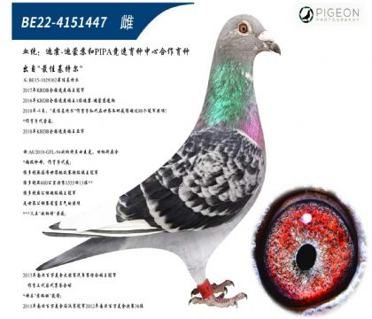 最佳基特尔直女(特别推荐)