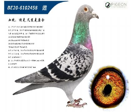 迪克凡戴克所向无敌近亲回血(超级种雌)