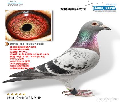 �������Ĺ����ʸ���51��Ԥ��26��Ӯ100��W