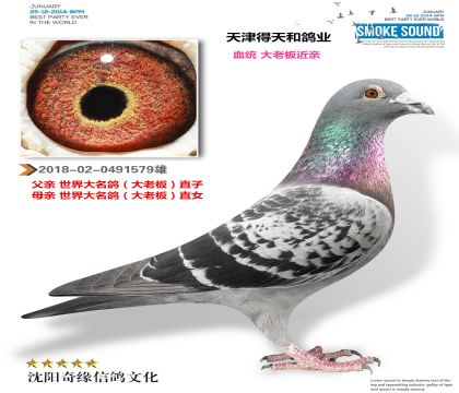 ������͸�ҵ�������������ϰ����XŮ����