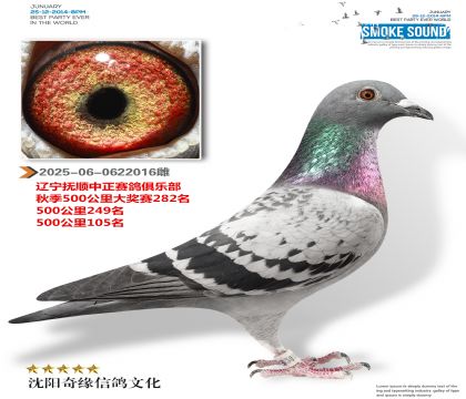 ���ֲ��ɼ��루���ϰ壩