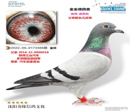 ��ȫ�£�����Ӯ��Ů����