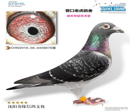 Ӫ���ϻ���ҵ���������������ң�