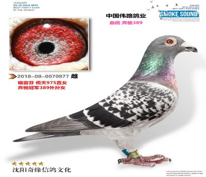 �й�ΰ·��ҵ������398��Ů��