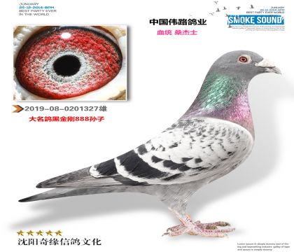 �й�ΰ·��ҵ��������ڽ��888ֱ�ӣ�