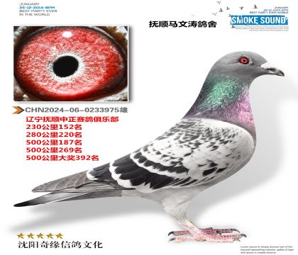 ���ֲ��񽱸루�й�ΰ·��ҵ��