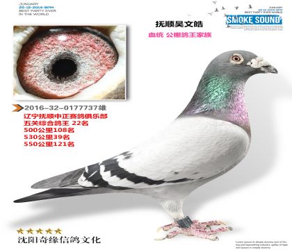 ����𩣨��ظ���22���������������