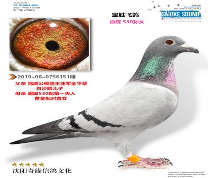 ��ʤ�ɸ루570��Ů��