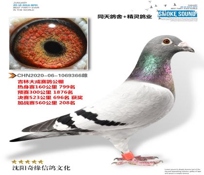 �Ϻ�����Ů�������ִ�ɹ���񽱸룩