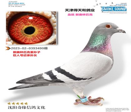 �°���ƥ����Ů��������͸�ҵ��