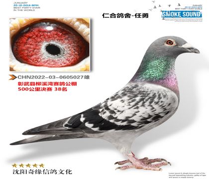 ���� ������������38����