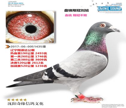 �̽���ڸ�Է����ڲ��ܣ�