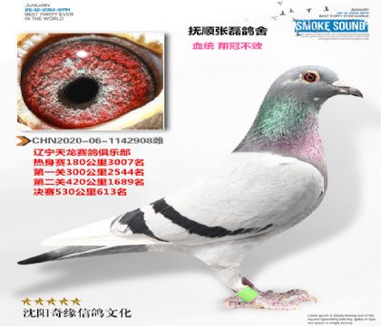 KBDB�������Ȱ�����������񽱸룩