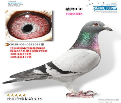 ���ֲ��񽱸루��ɳ�ظ���X����ţ�