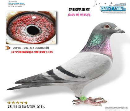 �򸣹������76��