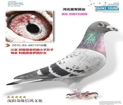 ����С����X������Ů������������ҵ��