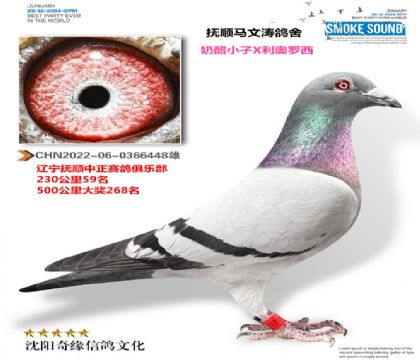 �������������ֲ��ɼ��룩