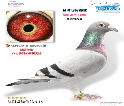 ̨�����£�ɣ��ʿ��