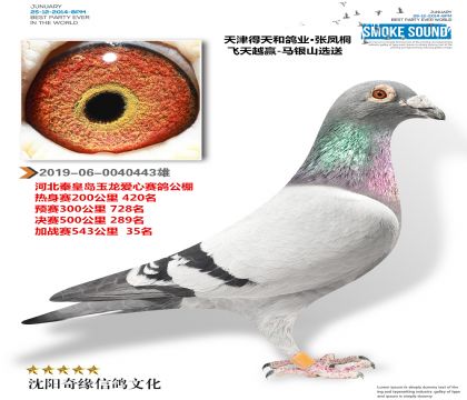 ������͸�ҵ������񽱸룩