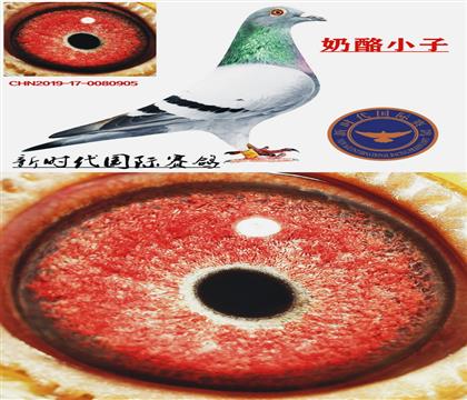 ����Ѫͳ��