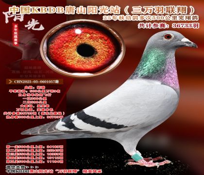 �й�KBDB����ɽ����վ�������辫ѡ��