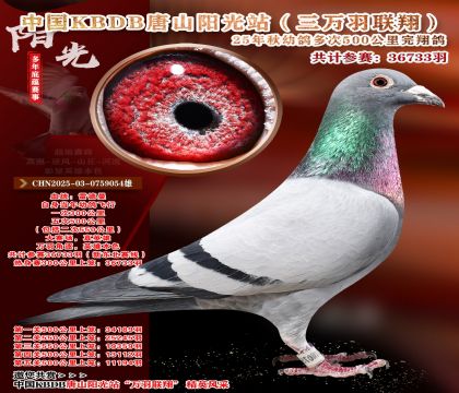 �й�KBDB����ɽ����վ�������辫ѡ��