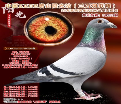 �й�KBDB����ɽ����վ�������辫ѡ��