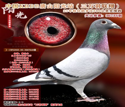 �й�KBDB����ɽ����վ�������辫ѡ��