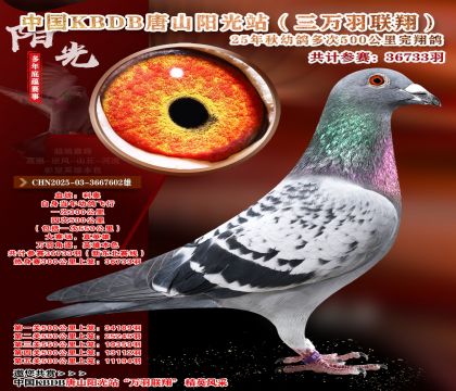 �й�KBDB����ɽ����վ�������辫ѡ��