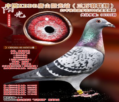 �й�KBDB����ɽ����վ�������辫ѡ��