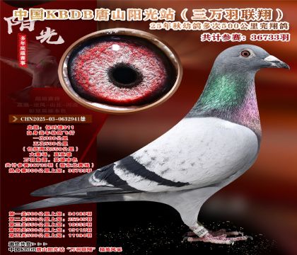 �й�KBDB����ɽ����վ�������辫ѡ��