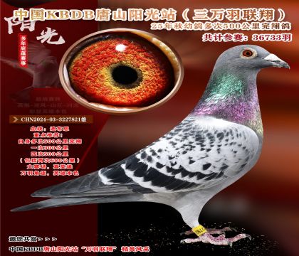 �й�KBDB����ɽ����վ�������辫ѡ��