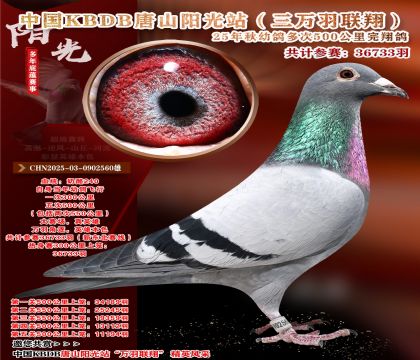 �й�KBDB����ɽ����վ�������辫ѡ��