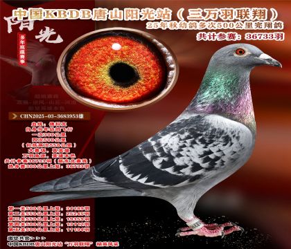 �й�KBDB����ɽ����վ�������辫ѡ��