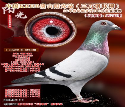 �й�KBDB����ɽ����վ�������辫ѡ��