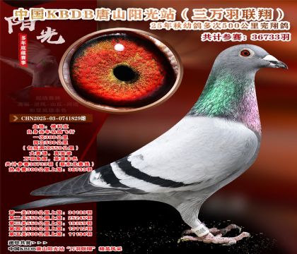 �й�KBDB����ɽ����վ�������辫ѡ��