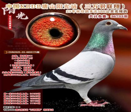 �й�KBDB����ɽ����վ�������辫ѡ��