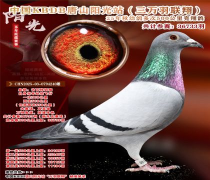 �й�KBDB����ɽ����վ�������辫ѡ��