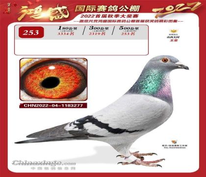 ���� ����253�� ��3687��